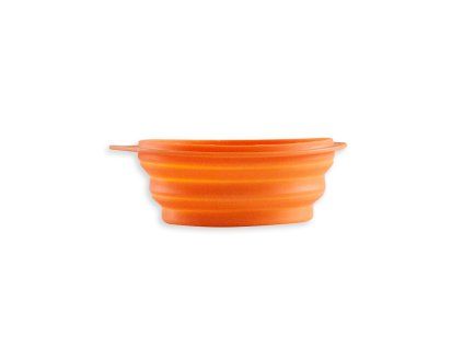 Backfill BL variant 2026-05-21. RegCis: 137008 (variant of 137001). BL product_id: 48322972. Position: 1.