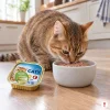 Lifestyle 200064a CATY Kuřecí & kachní paštika — kočka u misky bez potisku v české kuchyni (regen kvůli potisku misky).