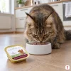 Lifestyle 20001 FIRST CLASS Zvěřinová paštika — Maine Coon u misky bez potisku v české kuchyni (regen kvůli potisku misky).