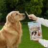 Lifestyle: Zlatý (Golden) Retrívr sedí a čeká na pamlsek Akinu Masíčka Jehněčí twister, zahrada, ruka majitele nabízí pamlsek