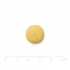 Jeden kus suroviny s pravítkem 5 cm, pamlsek psi (mini piškot) — SKU 173009 Akinu Mini piškoty s vápníkem 120 g. Velikost ~1,6 cm odečtena z Helios fotky „173009 surovina s pravítkem 1“ (doc 213623). Styl dle 173011 (95dc2be2). v1 ze 2.