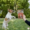 FINÁLNÍ lifestyle pro řadu Masíčka (SKU 204809) — malý pes (Jack Russell Teriér), tréninkový skok po pamlsku, park. Druhá iterace s extra důrazem na fotorealismus (srst, oči, anatomie, candid) na výslovné přání uživatele. Parent = 000666c7-63ac-4831-b66b-8b56de216b10 / 0aea5a8f-0ff8-4191-94f1-e93581972c06 (první iterace, méně realistická). POZN.: pole 'series' vynecháno kvůli DB chybě.