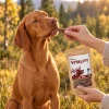 Lifestyle Jelen jerky 176167 – maďarský ohař, příroda (podzimní louka), ruka podává pamlsek. Vitality pravidla.
