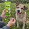 Lifestyle exteriér: hrubosrstý voříšek sedí na zelené louce s lučními květy, páníček klečí v trávě, v jedné ruce drží zelený sáček Papky Drůbeží plátky 120 g, druhou podává jeden plátek. Začátek podzimu, přirozené denní světlo.