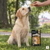 Lifestyle park – Labrador sedí a čeká, jen ruka podává pamlsek, sáček 75 g v reálné velikosti na trávě