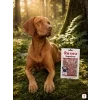Lifestyle scéna 2 var B, SKU 176245, mechový les, pes: Vizsla