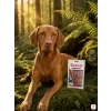 Lifestyle scéna 2 var A, SKU 176245, mechový les, pes: Vizsla
