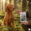 Lifestyle 176297 Tyčinka z tresčí kůže 50 g – Vizsla si klidně bere pamlsek z ruky majitele (olivová lovecká bunda), sáček v druhé ruce, mechový bukový les, ranní zlaté světlo, evergreen, 1:1.