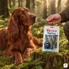 Lifestyle 176297 Tyčinka z tresčí kůže 50 g – Irish Setter leží u mechového pařezu, ruka majitele (khaki lovecká bunda) podává tyčinku, sáček na pařezu, odpolední zlaté světlo, evergreen, 1:1.