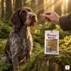 Lifestyle 282041 Mobility 75 g – Německý drátosrstý ohař u mechového pařezu, ruka majitele (hnědá tvídová lovecká bunda) podává pamlsek, sáček na pařezu, odpolední zlaté světlo, evergreen, 1:1.