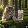 Lifestyle scéna 3 — Maine Coon, mechový les, lovecká elegance — varianta 2/2. POZN.: první generate_image call s count=2 vrátil jen 1 job (ddaeb69e) namísto 2 — tato varianta byla doplněna samostatným navazujícím callem se stejným promptem (job 6fc2c61e). Anomálie nahlášena uživateli, kandidát pro mcp-bug-report.