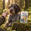Lifestyle 282044 Hair & Skin 75 g – Slovenský hrubosrstý stavač leží u mechového pařezu, ruka majitele (khaki lovecká bunda) podává pamlsek, sáček na pařezu, odpolední zlaté světlo, evergreen, 1:1.