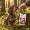 Lifestyle Suprimo: mechový les se zlatými paprsky, drátosrstý jezevčík sedí a bere si mramorovaný kachní plátek z ruky (lovecká khaki bunda), sáček Suprimo Mini kachna 75 g opřený o mechový pařez.
