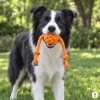 Lifestyle: border kolie stojí v parku a drží v tlamě oranžový bavlněný míč s provazem (Akinu Bavlněný míč velký, 39 cm, míček ~9 cm). Velikost hračky přizpůsobena rozměrům z ERP. Reference = uploadnutá maketa 3403ee4b (nízké rozlišení 412×243).
